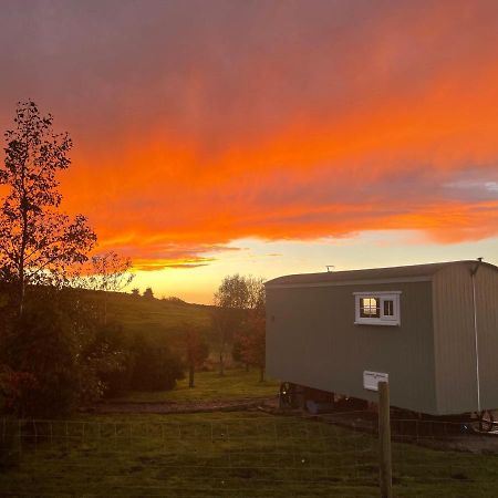 The Buteland Stop Rosie Off Grid Shepherds Hut ベリングハム エクステリア 写真