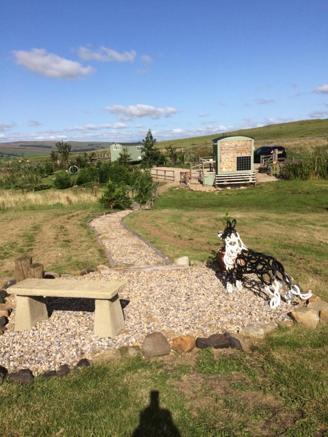 The Buteland Stop Rosie Off Grid Shepherds Hut ベリングハム エクステリア 写真