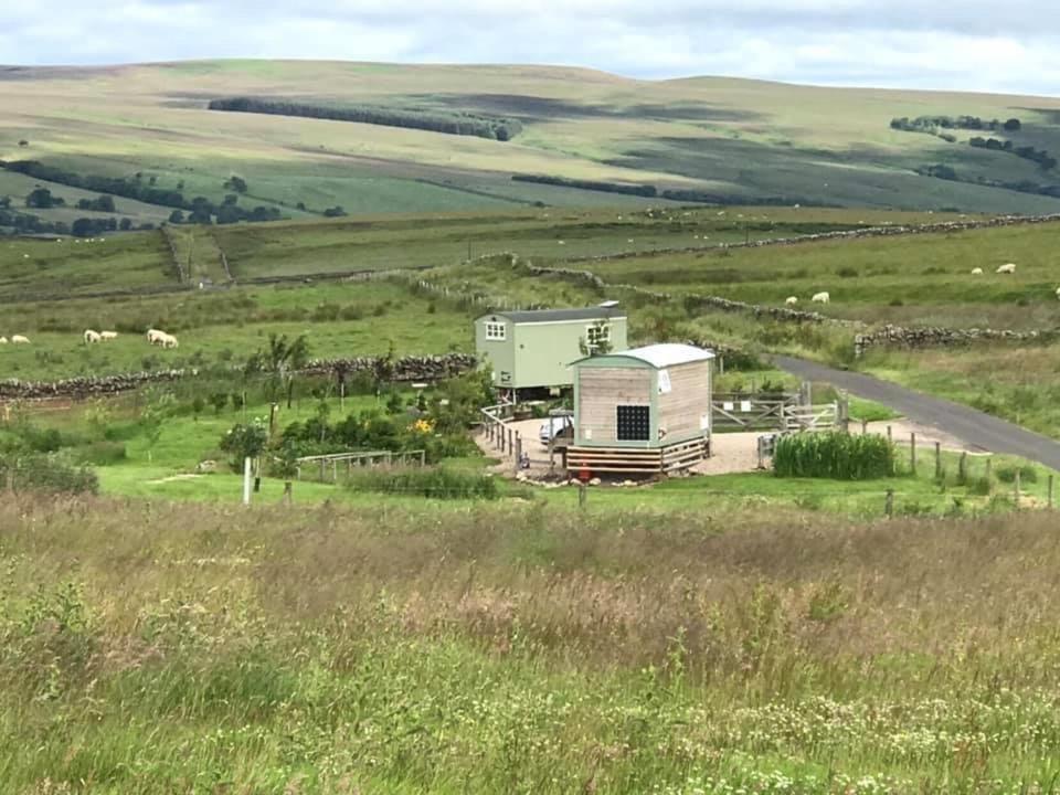 The Buteland Stop Rosie Off Grid Shepherds Hut ベリングハム エクステリア 写真