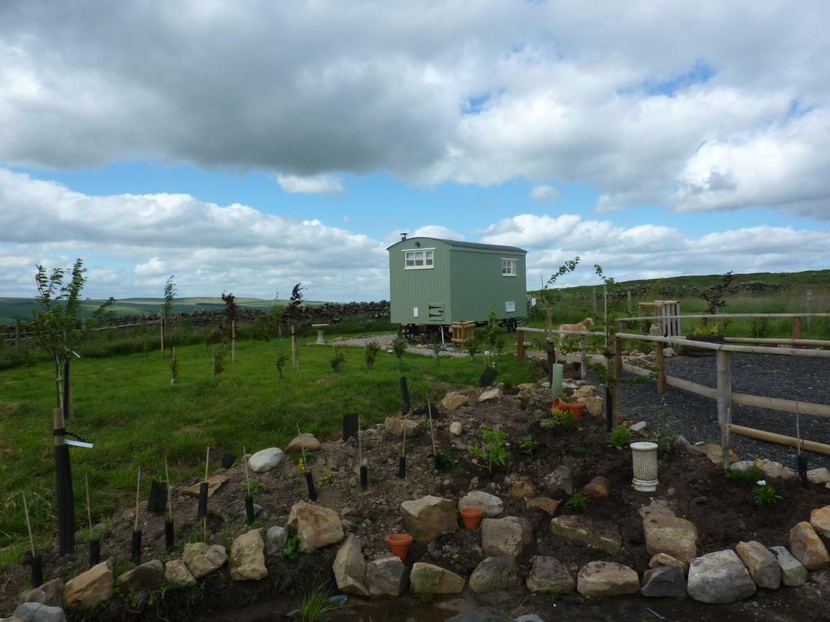 The Buteland Stop Rosie Off Grid Shepherds Hut ベリングハム エクステリア 写真