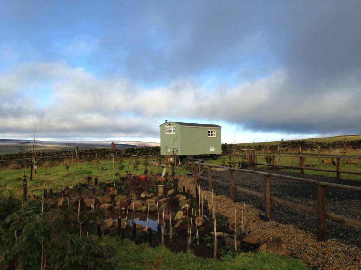 The Buteland Stop Rosie Off Grid Shepherds Hut ベリングハム エクステリア 写真