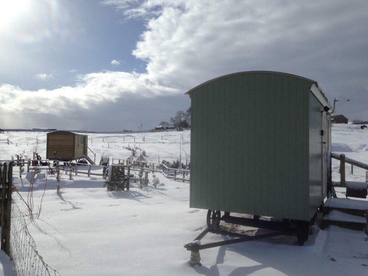 The Buteland Stop Rosie Off Grid Shepherds Hut ベリングハム エクステリア 写真