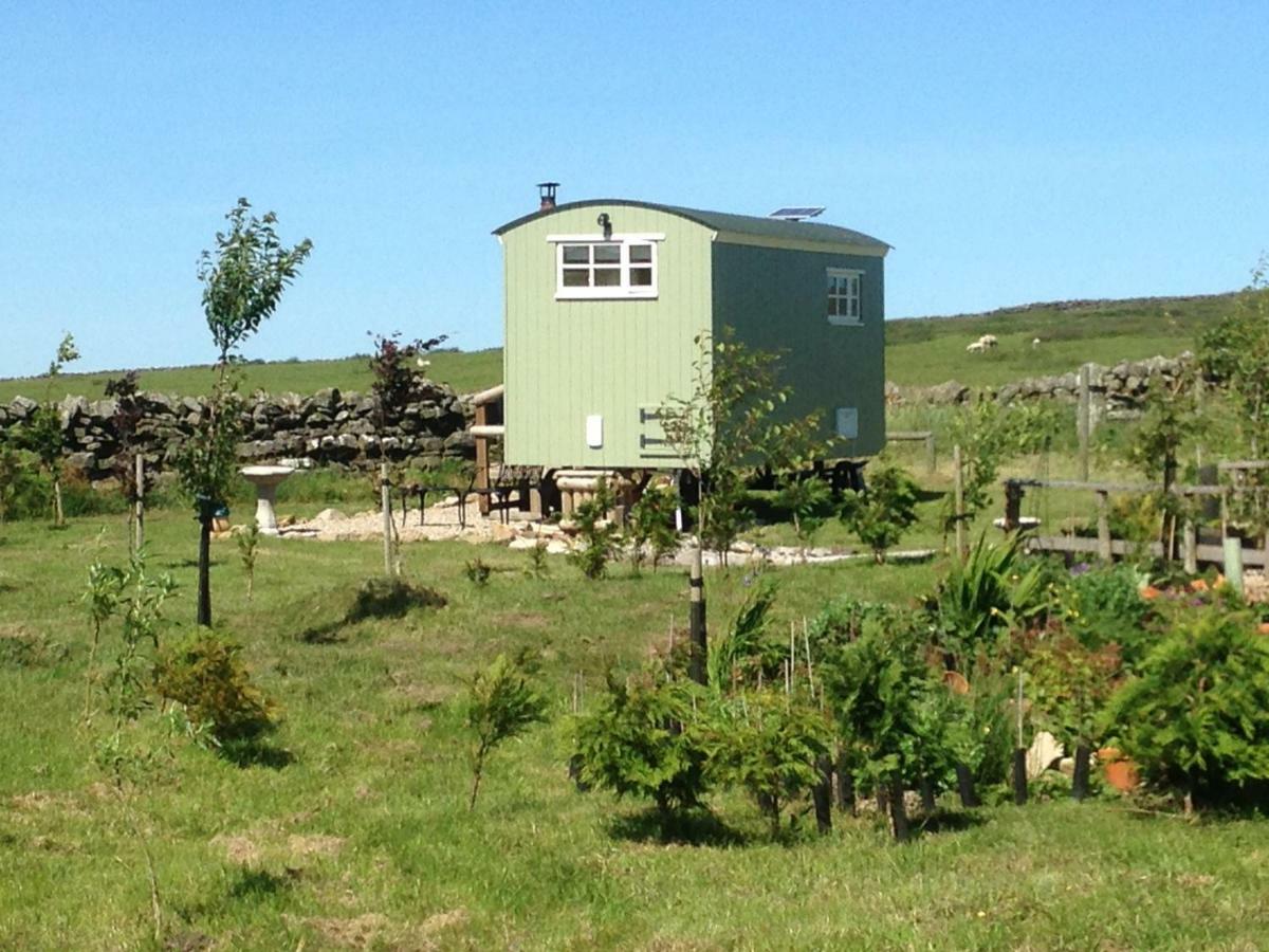 The Buteland Stop Rosie Off Grid Shepherds Hut ベリングハム エクステリア 写真