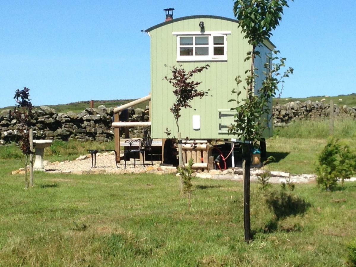The Buteland Stop Rosie Off Grid Shepherds Hut ベリングハム エクステリア 写真